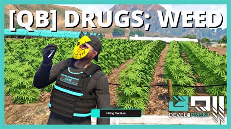 Sell Drug System V5 Advanced Totally optimized script, Easy to set up, Open code (1000 lines of code), 2 types of Selling Drugs wholesale and singly, The job is based on the interaction. . Drug scripts for fivem